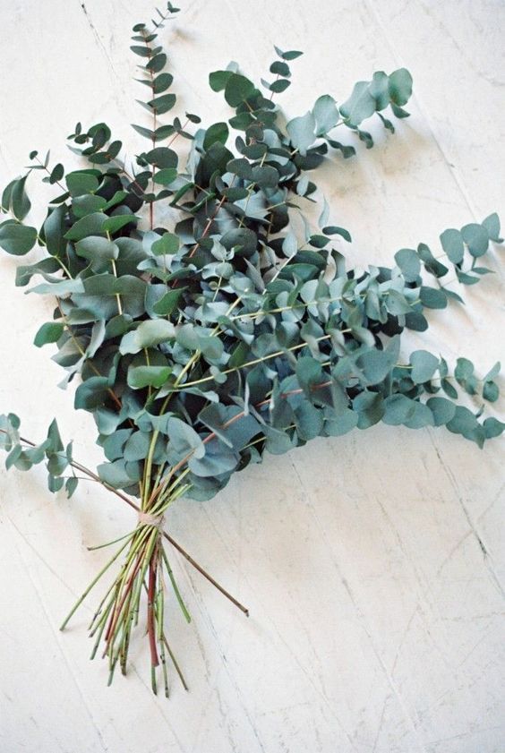 Fragrant Incense Sticks