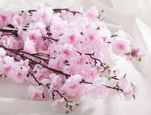 Fragrant Incense Sticks