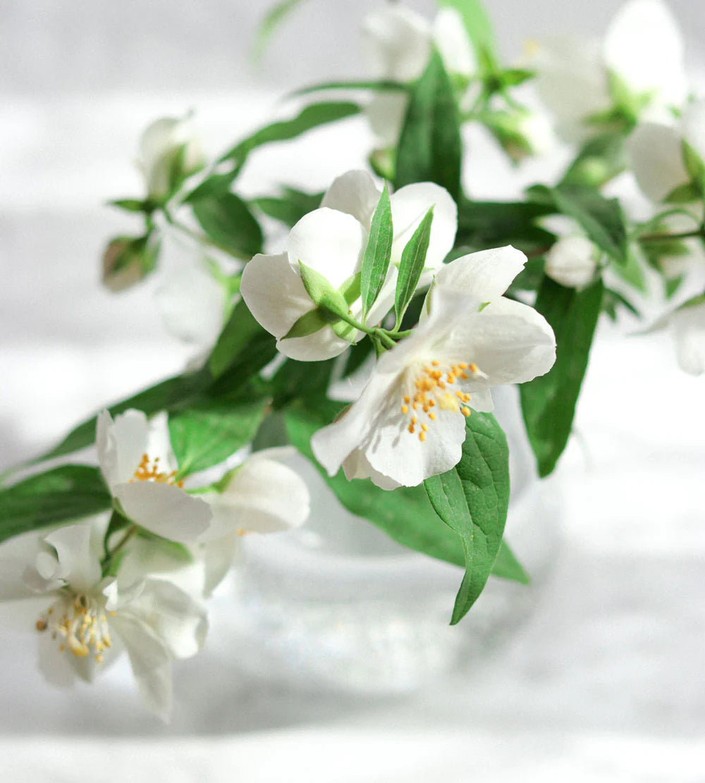 Fragrant Incense Sticks