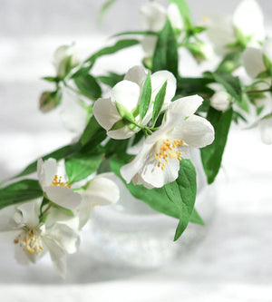 Fragrant Incense Sticks